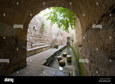 City of David/Hezekiah’s Tunnel & Pool of Siloam.